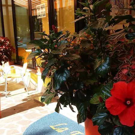 La Falena 3* קרביה